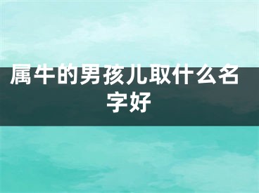 属牛的男孩儿取什么名字好