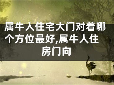 属牛人住宅大门对着哪个方位最好,属牛人住房门向