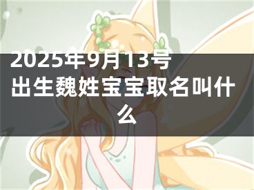 2025年9月13号出生魏姓宝宝取名叫什么