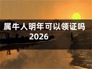 属牛人明年可以领证吗2026