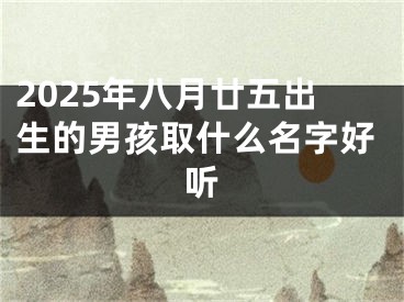 2025年八月廿五出生的男孩取什么名字好听