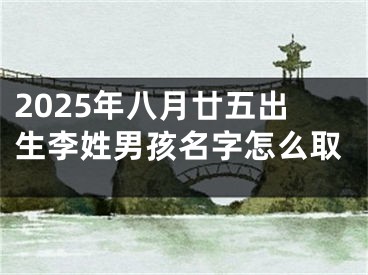 2025年八月廿五出生李姓男孩名字怎么取
