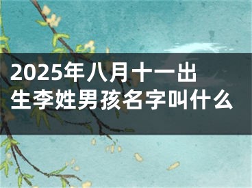 2025年八月十一出生李姓男孩名字叫什么