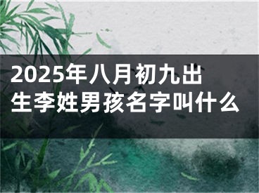 2025年八月初九出生李姓男孩名字叫什么