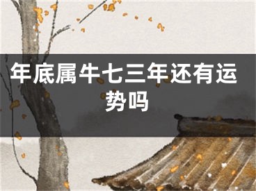 年底属牛七三年还有运势吗
