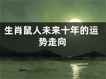 生肖鼠人未来十年的运势走向