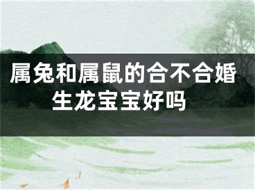 属兔和属鼠的合不合婚 生龙宝宝好吗