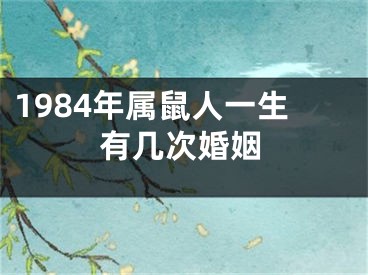 1984年属鼠人一生有几次婚姻