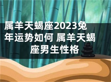 属羊天蝎座2023兔年运势如何 属羊天蝎座男生性格