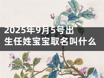 2025年9月5号出生任姓宝宝取名叫什么