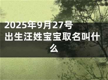 2025年9月27号出生汪姓宝宝取名叫什么