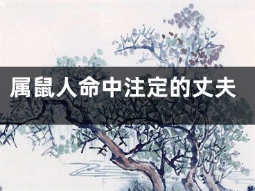 属鼠人命中注定的丈夫