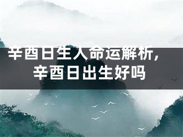 辛酉日生人命运解析,辛酉日出生好吗