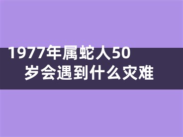 1977年属蛇人50岁会遇到什么灾难
