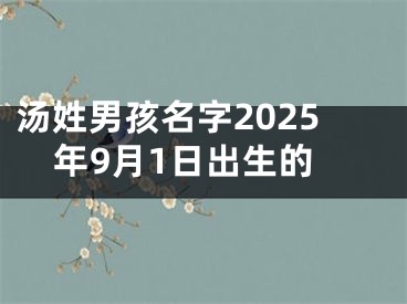 汤姓男孩名字2025年9月1日出生的