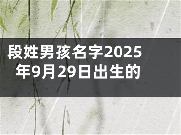 段姓男孩名字2025年9月29日出生的