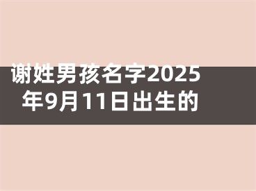 谢姓男孩名字2025年9月11日出生的