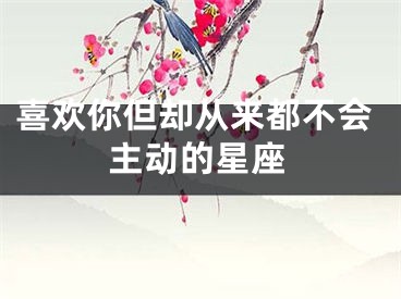 喜欢你但却从来都不会主动的星座