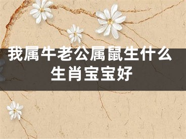 我属牛老公属鼠生什么生肖宝宝好