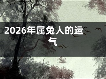 2026年属兔人的运气
