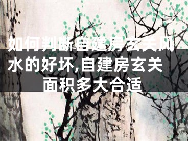 如何判断自建房玄关风水的好坏,自建房玄关面积多大合适