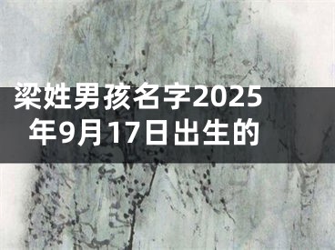 梁姓男孩名字2025年9月17日出生的