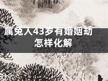 属兔人43岁有婚姻劫怎样化解