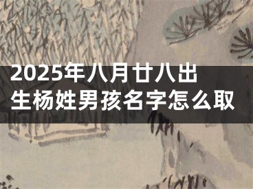 2025年八月廿八出生杨姓男孩名字怎么取