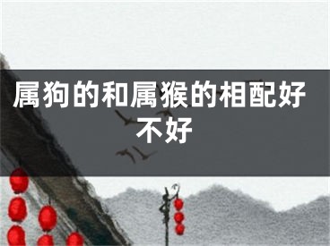 属狗的和属猴的相配好不好