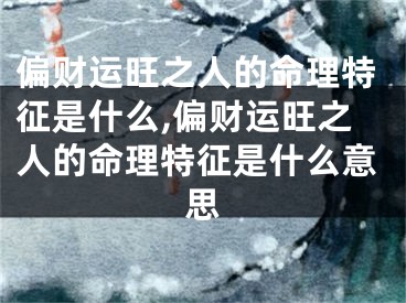 偏财运旺之人的命理特征是什么,偏财运旺之人的命理特征是什么意思
