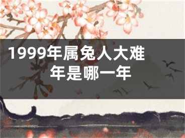 1999年属兔人大难年是哪一年