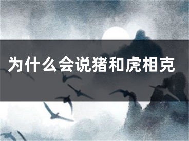 为什么会说猪和虎相克
