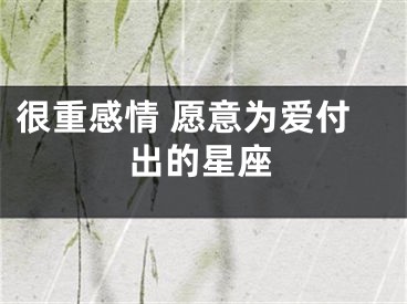 很重感情 愿意为爱付出的星座