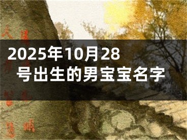 2025年10月28号出生的男宝宝名字