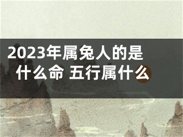 2023年属兔人的是什么命 五行属什么