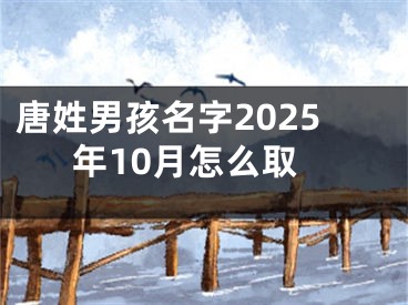 唐姓男孩名字2025年10月怎么取