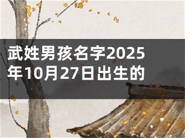 武姓男孩名字2025年10月27日出生的