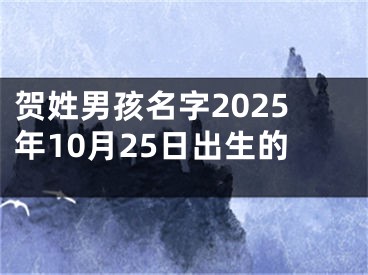 贺姓男孩名字2025年10月25日出生的