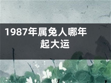 1987年属兔人哪年起大运