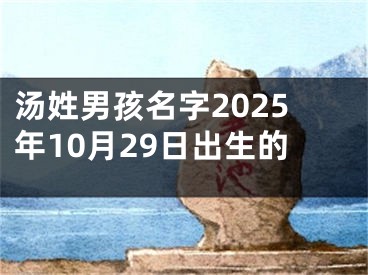 汤姓男孩名字2025年10月29日出生的