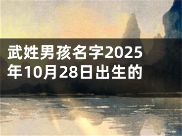武姓男孩名字2025年10月28日出生的