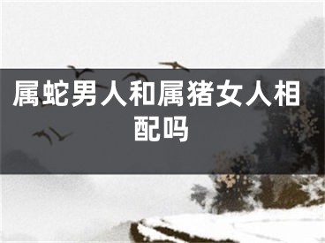 属蛇男人和属猪女人相配吗