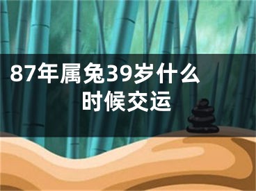 87年属兔39岁什么时候交运