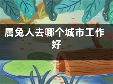 属兔人去哪个城市工作好