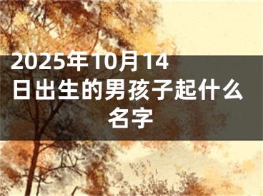 2025年10月14日出生的男孩子起什么名字