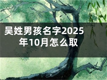 吴姓男孩名字2025年10月怎么取