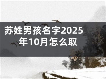 苏姓男孩名字2025年10月怎么取