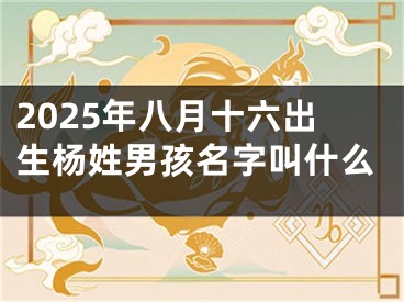 2025年八月十六出生杨姓男孩名字叫什么
