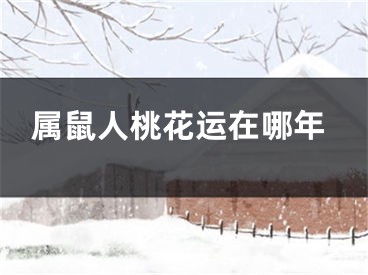 属鼠人桃花运在哪年