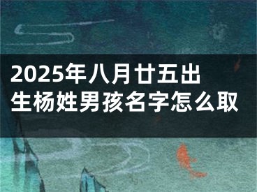 2025年八月廿五出生杨姓男孩名字怎么取